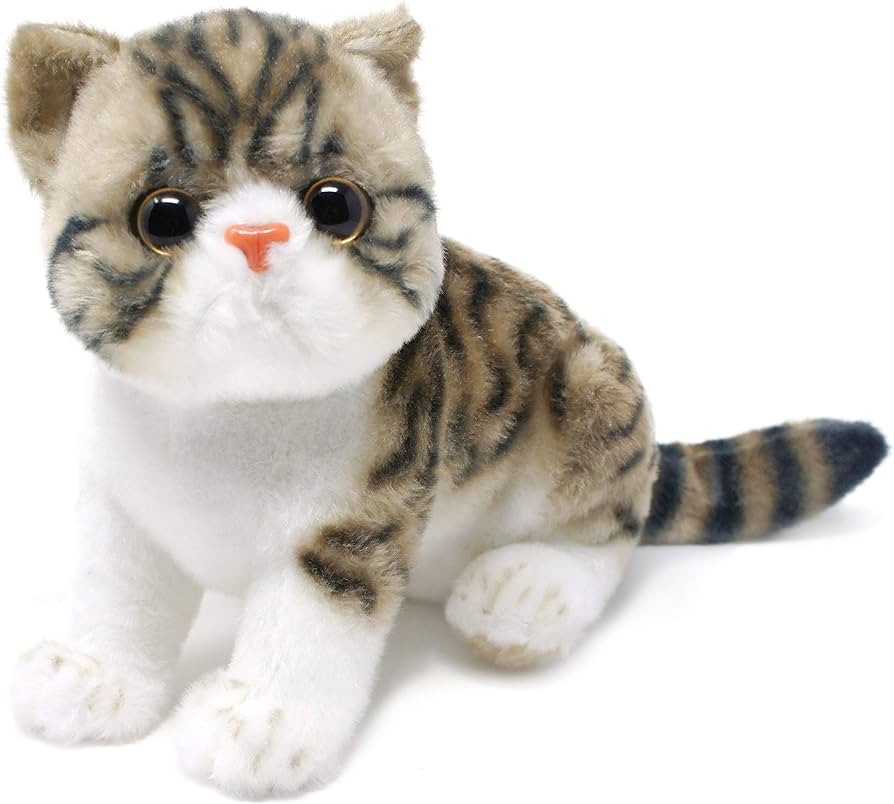 Amazon.co.jp: エキゾチックショートヘア 猫 ぬいぐるみ リアル 24