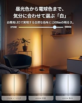 Amazon | SwitchBot RGBIC フロアライト LED スタンドライト