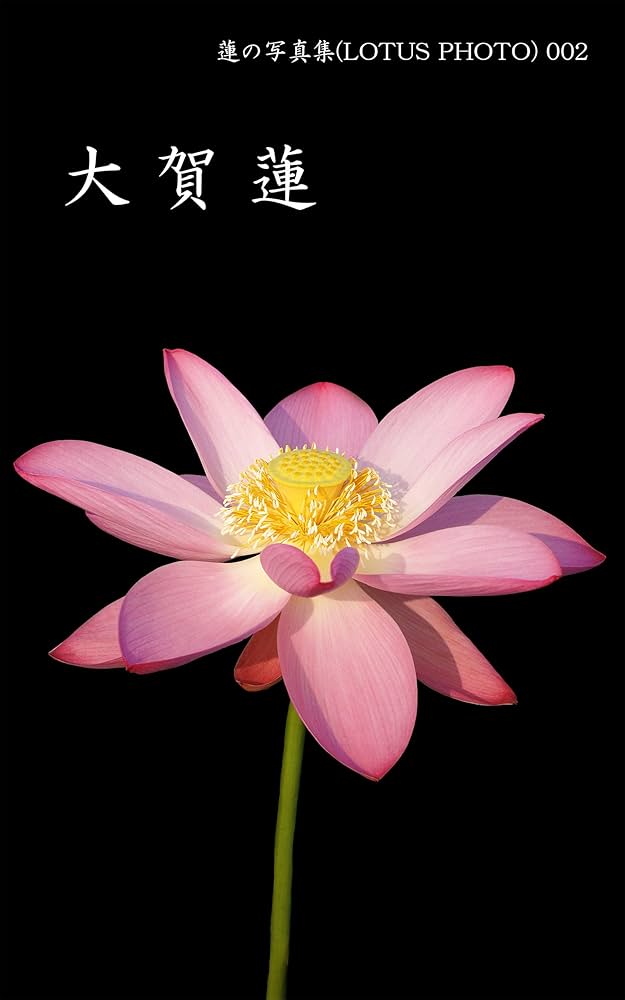 Amazon.co.jp: 蓮の写真集(LOTUS PHOTO 002)大賀蓮 電子書籍: 大谷
