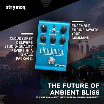 Amazon.com: Strymon Cloudburst Ambient Reverb Guitar Pedal with