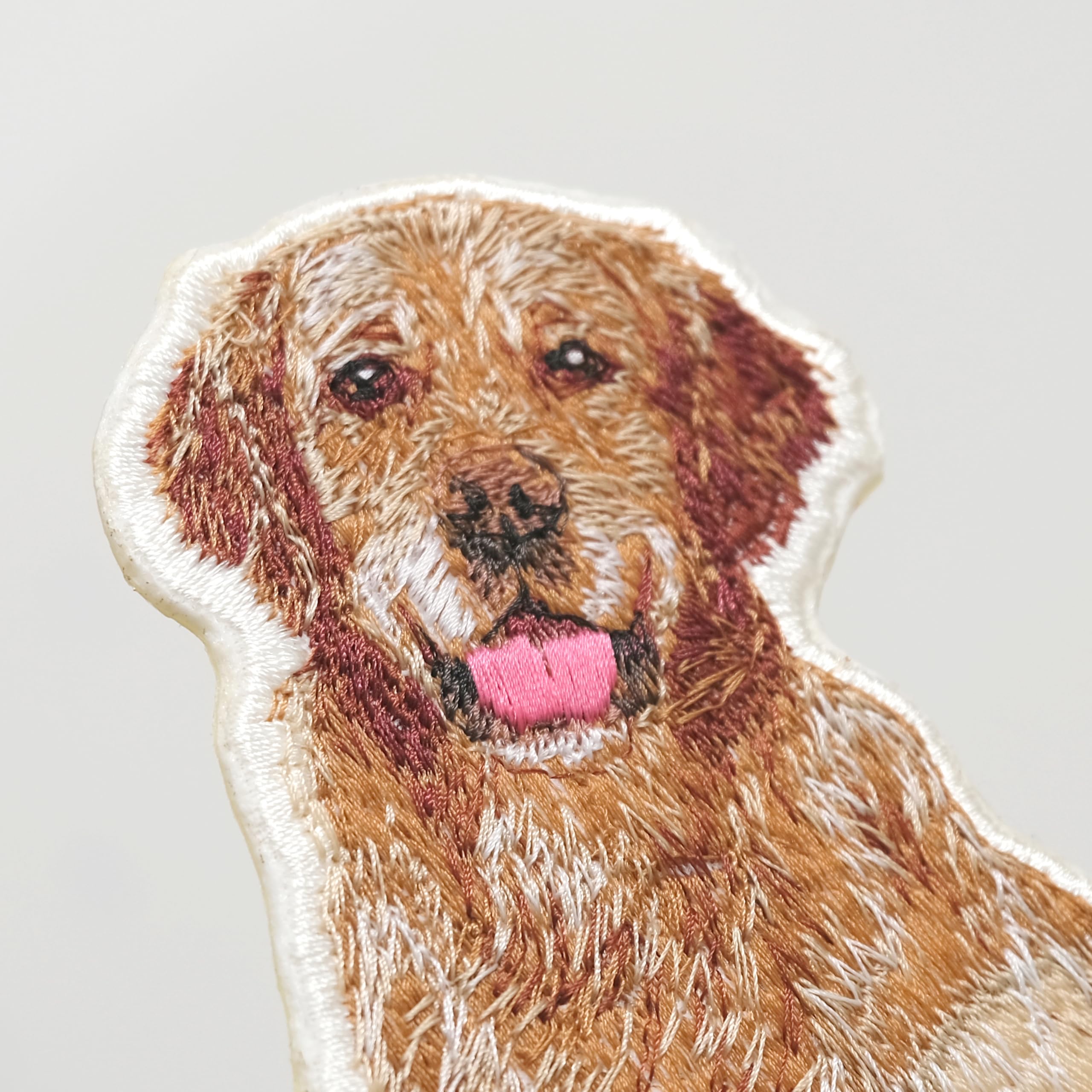 Amazon.co.jp: ［Fan Fun］ゴールデンレトリバー【左向き】【右向き