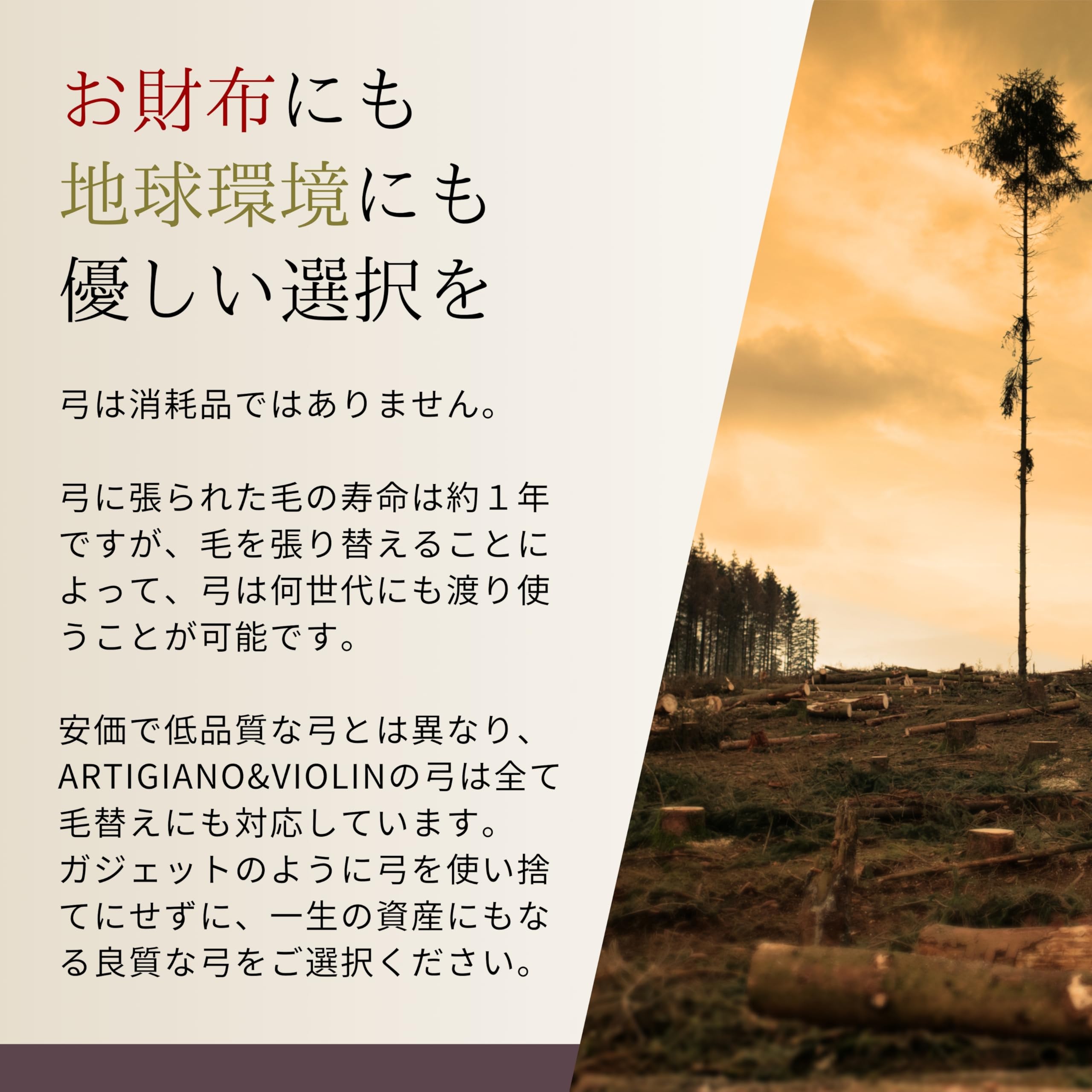 Amazon | ARTIGIANO&VIOLIN ドライカーボン バイオリン弓 AD-501 | 弓