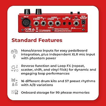 Amazon.com: Boss RC-500 Loop Station Bundle with Gearlux Power