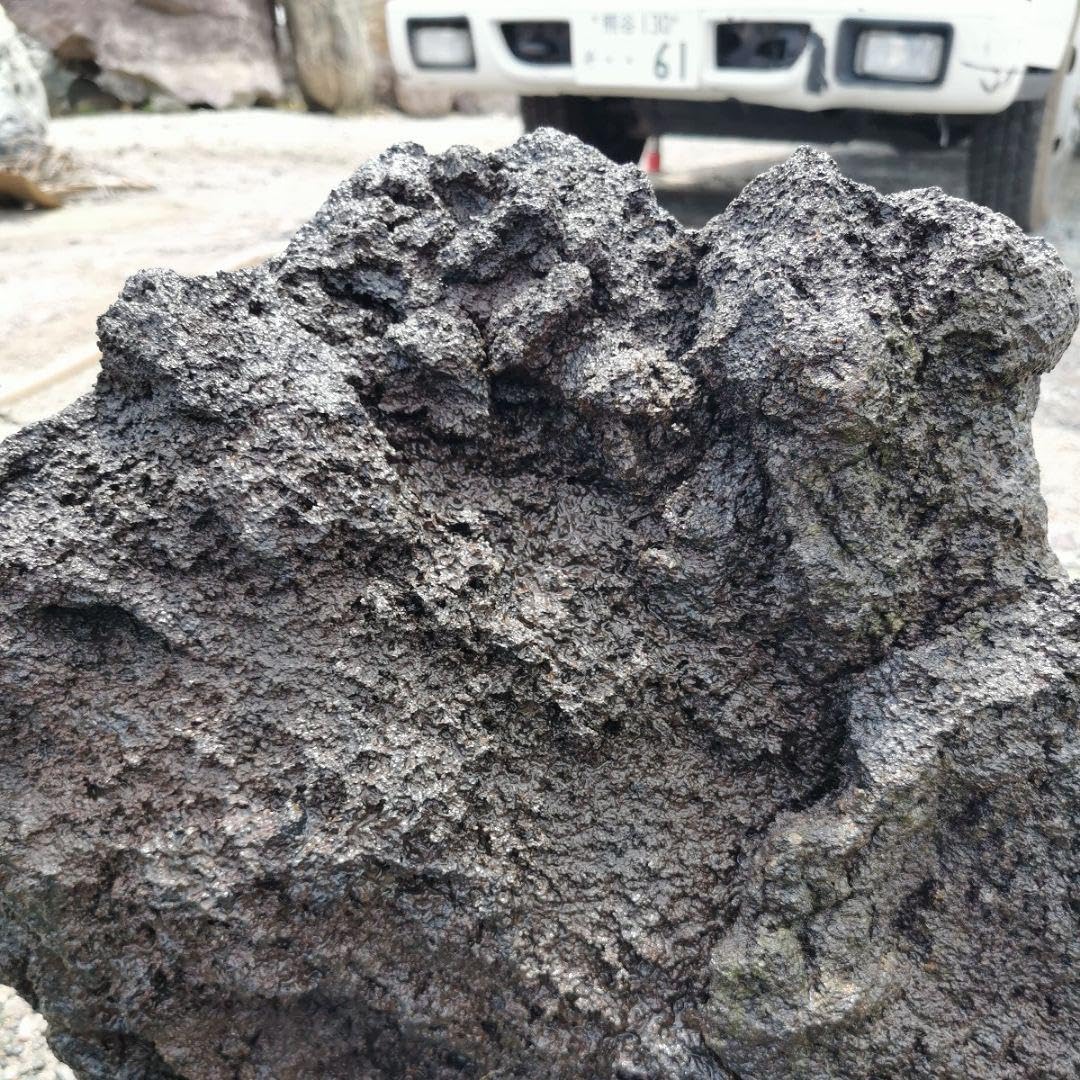 Amazon.co.jp: 富士 溶岩石 48キロ 庭石 鑑賞石 石 庭 ガーデニング