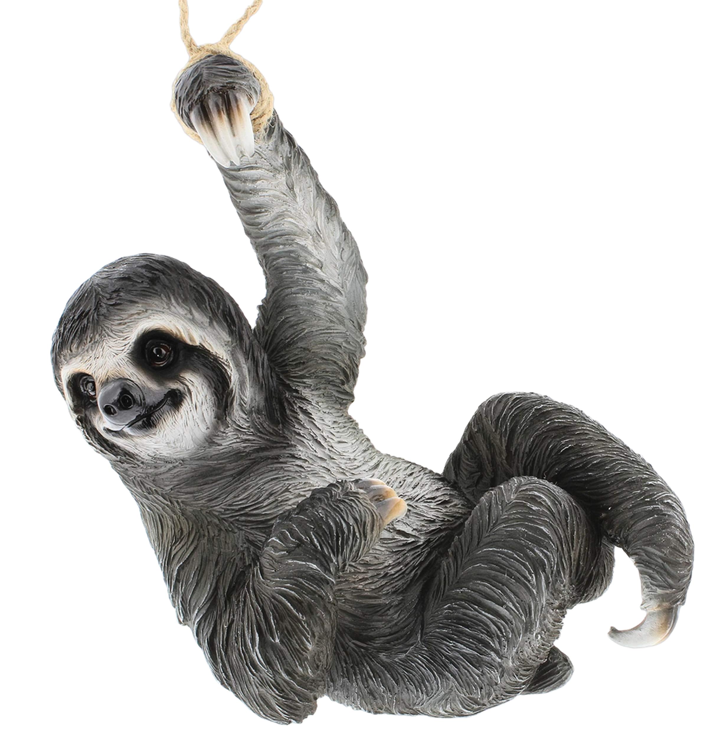 Amazon.co.jp: Distinctive Designs ナマケモノのツリーハンガー