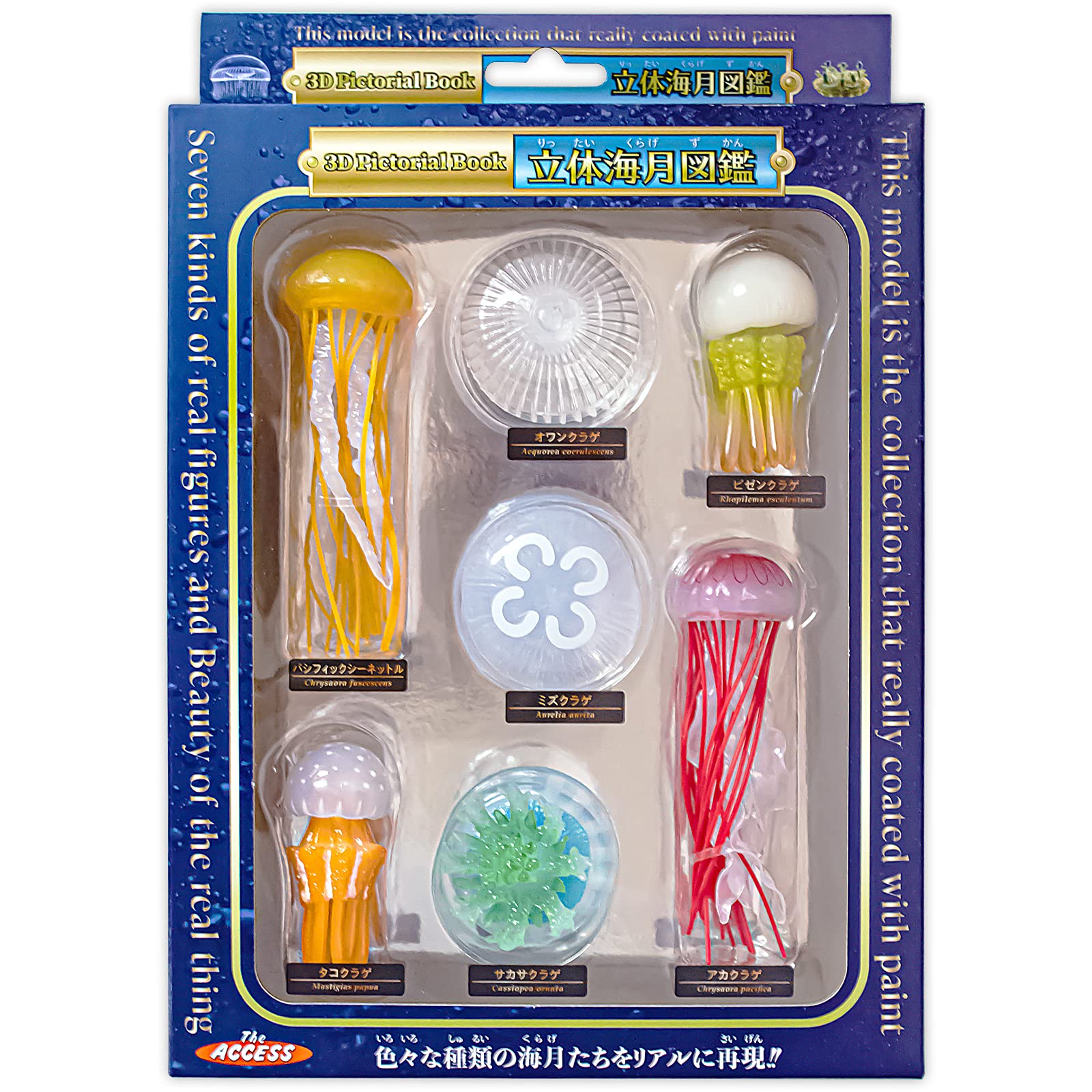 Amazon | ザ・アクセス フィギュア 海月 立体図鑑 動物 水族館