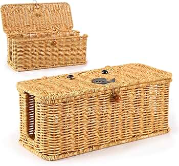 81LXBeVJtIL._AC_UF350,