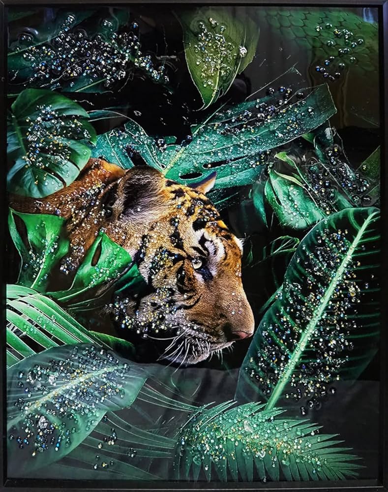 Amazon.co.jp: クリスタルアート ベンガル アートパネル 51x61cm