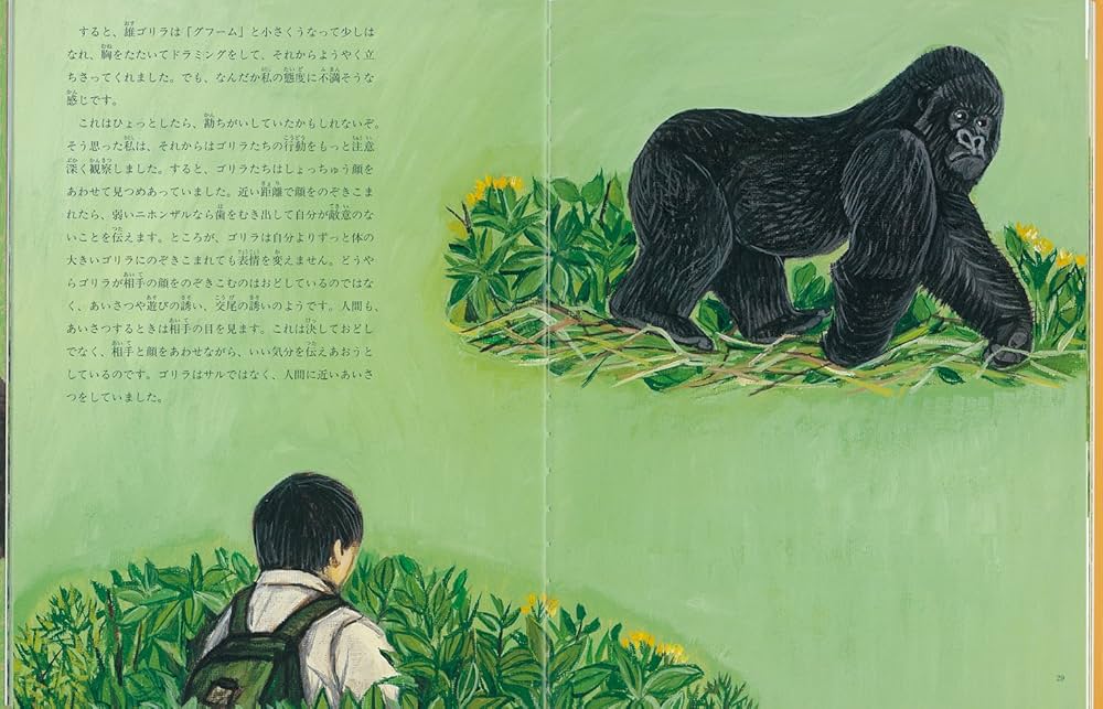 81M0+e1Dp4L._AC_UF1000,