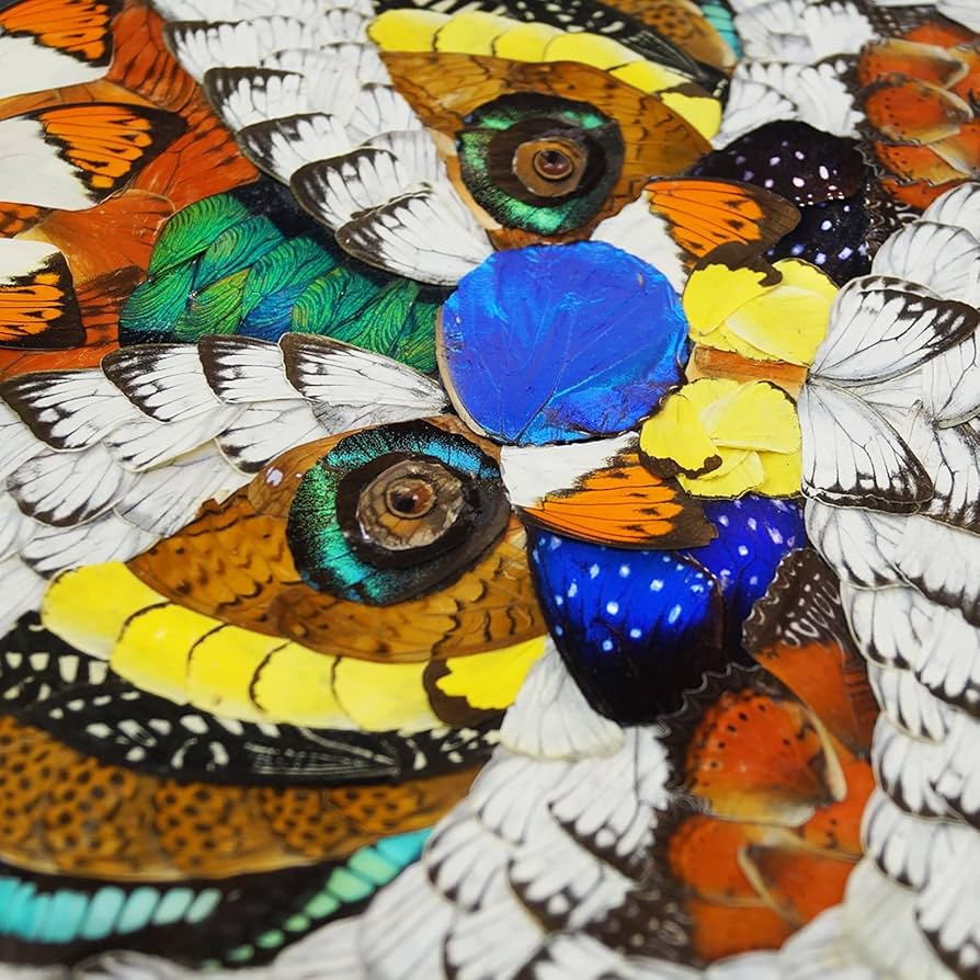 Amazon.co.jp: 蝶の標本のライオンの頭の形をした蝶の羽の絵、ガラスと