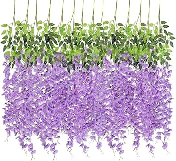 81OUQ1y0W6L._AC_UF350,