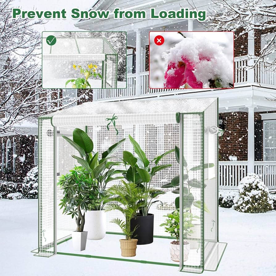 81PHFGLmPtL._AC_UF894,