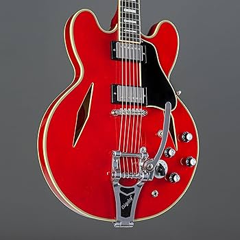 Amazon.com: Epiphone EXCLUSIVE Shinichi Ubukata ES-355, Cherry