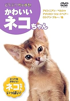 Amazon.co.jp: かわいいネコちゃん KID-1302 [DVD] : ヒマラヤン