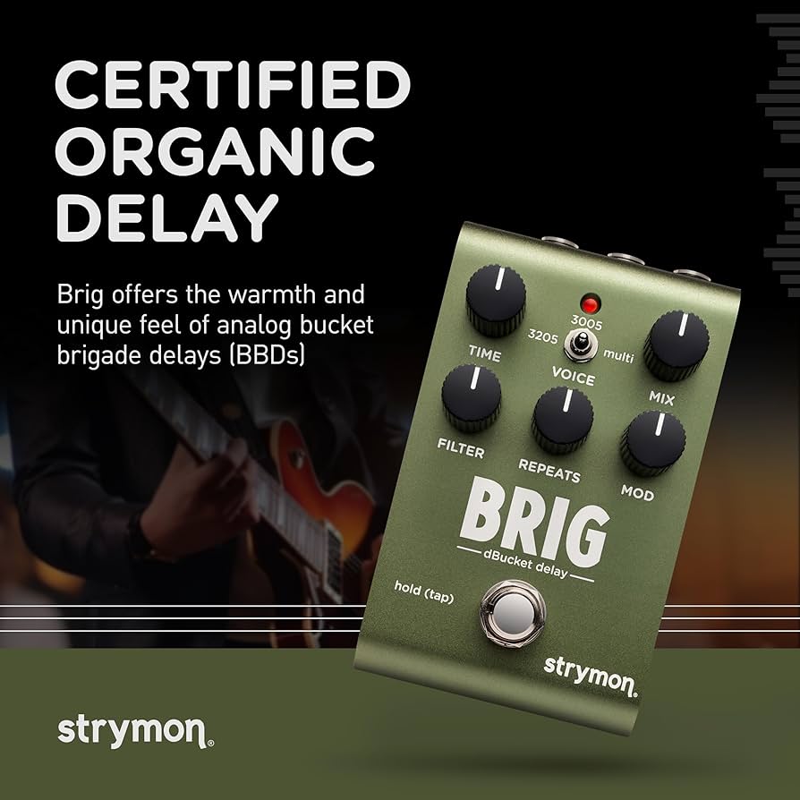 Amazon.com: Strymon Brig dBucket BBD Guitar Delay Pedal with 3