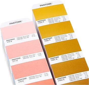 Amazon | パントン・フォーミュラガイド/2冊組(コート紙、上質紙