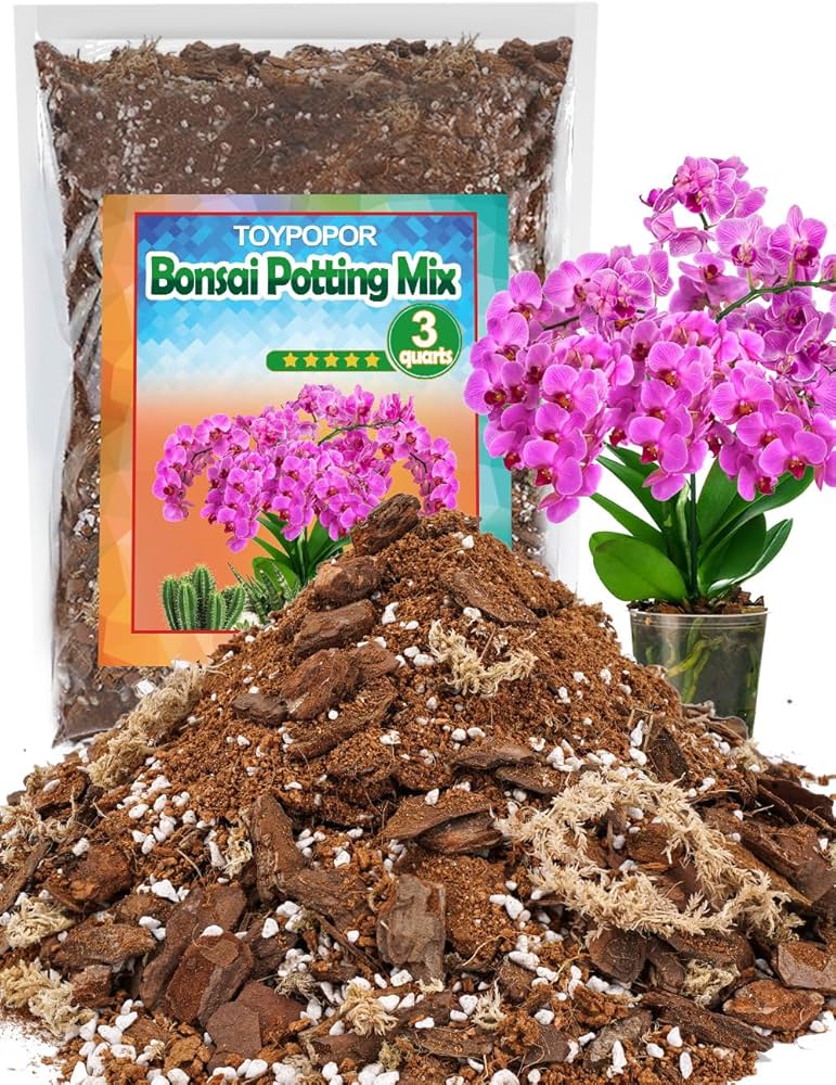 Amazon.com : TOYPOPOR 3qt Orchid Potting Mix with Moss Pine Bark