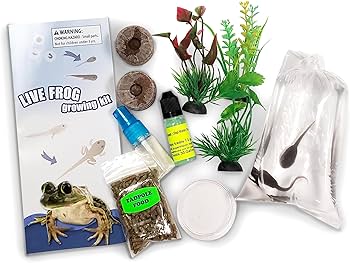 Amazon.com: Tadpole to Frog Starter Kit - Includes Certificate for
