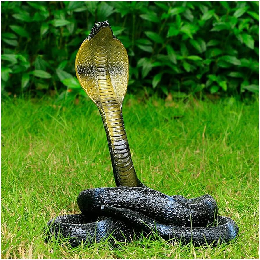 Amazon.co.jp: コブラ ヘビの彫像 - リアルなコブラ モデル - 屋外