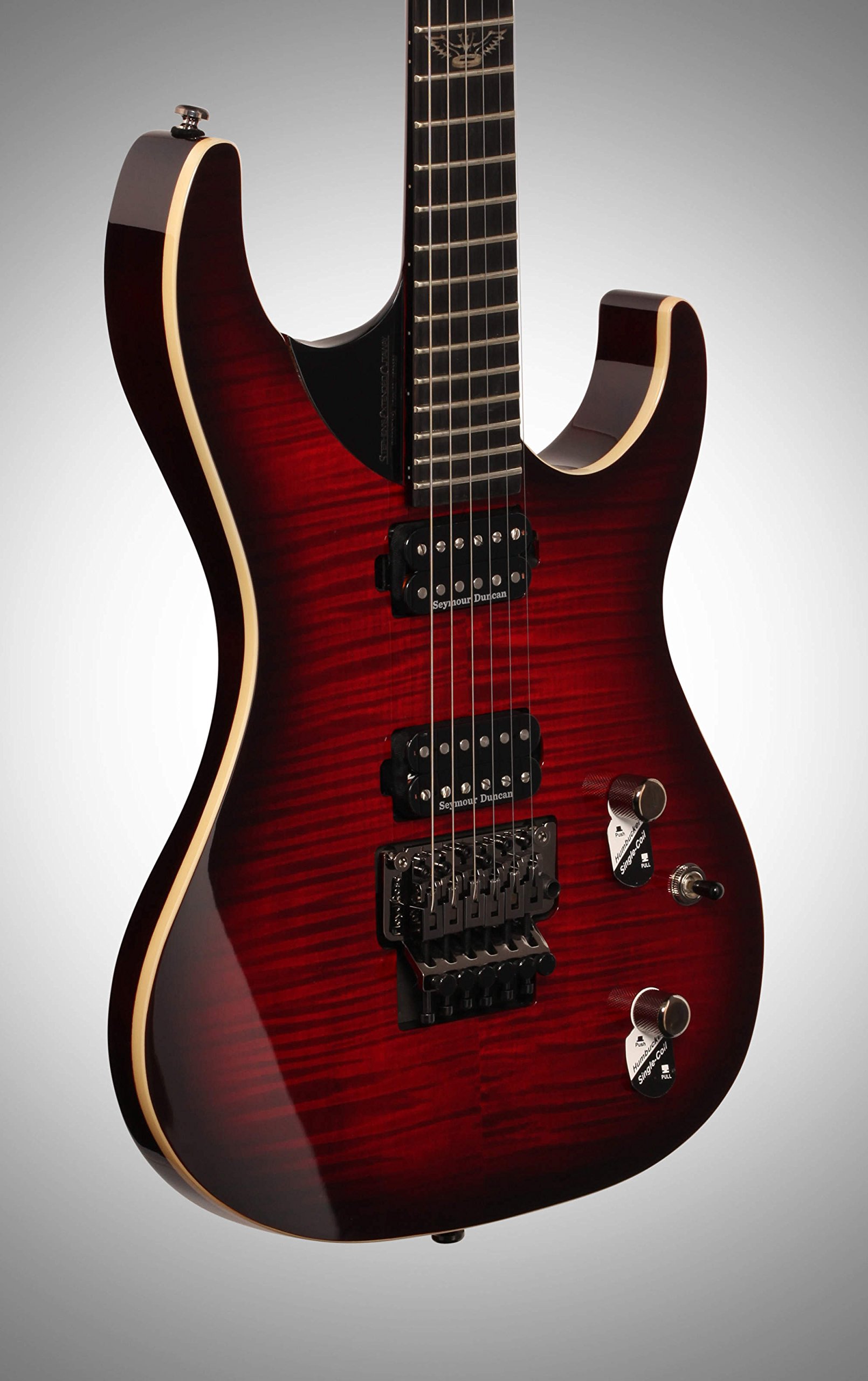 Amazon.com: Washburn 6 String Parallaxe Dbl Cut S.E.C. Bolt on