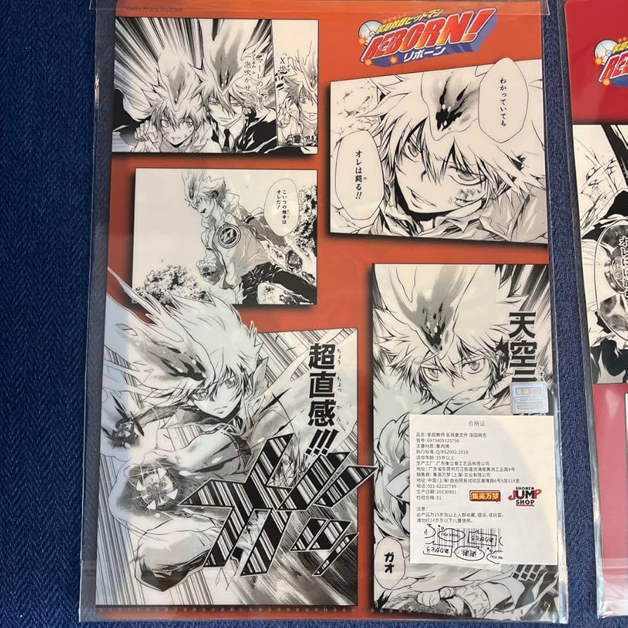 Amazon.co.jp: 家庭教師ヒットマンreborn 獄寺隼人 沢田綱吉 上海限定