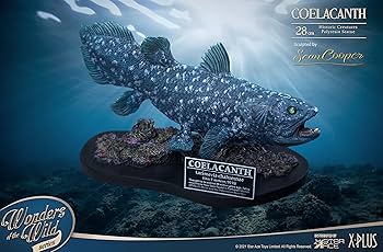 Amazon | スターエーストイズ ワンダーズ オブ ザ ワイルド