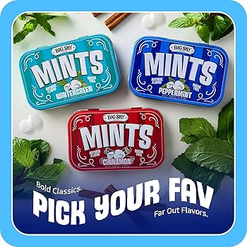 Amazon.com : Big Sky Sugar Free Peppermint Mints - 50 Count Tin
