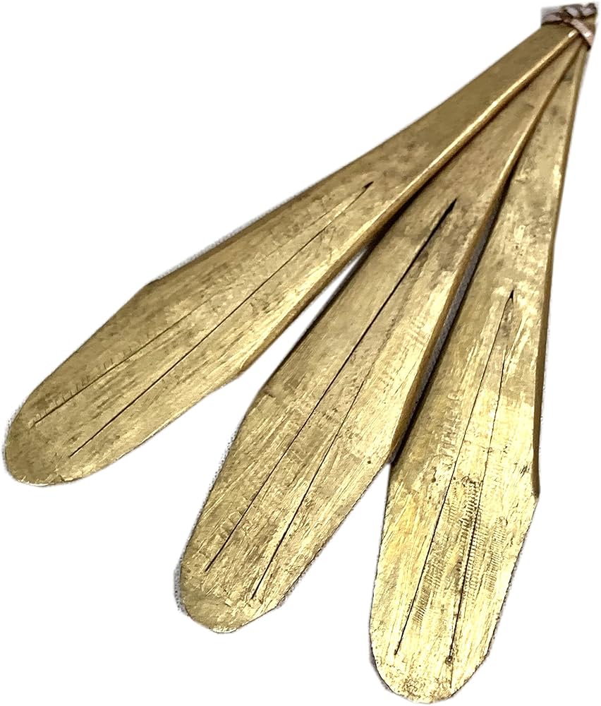 Amazon | 中国 イ族口琴 3枚弁 / Chinese 