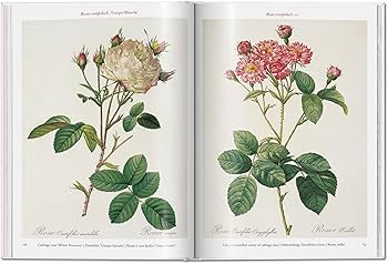 Redouté. Roses (Multilingual Edition): Lack, H. Walter, Taschen