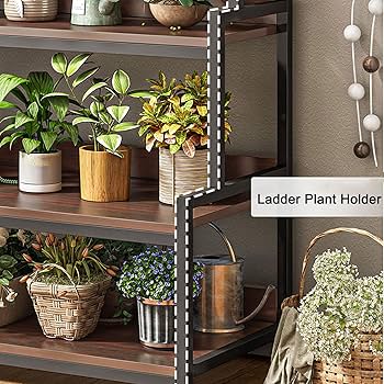 Amazon.co.jp: 室内植木棚、大きな植木棚階層植物棚、室内外植木鉢展示