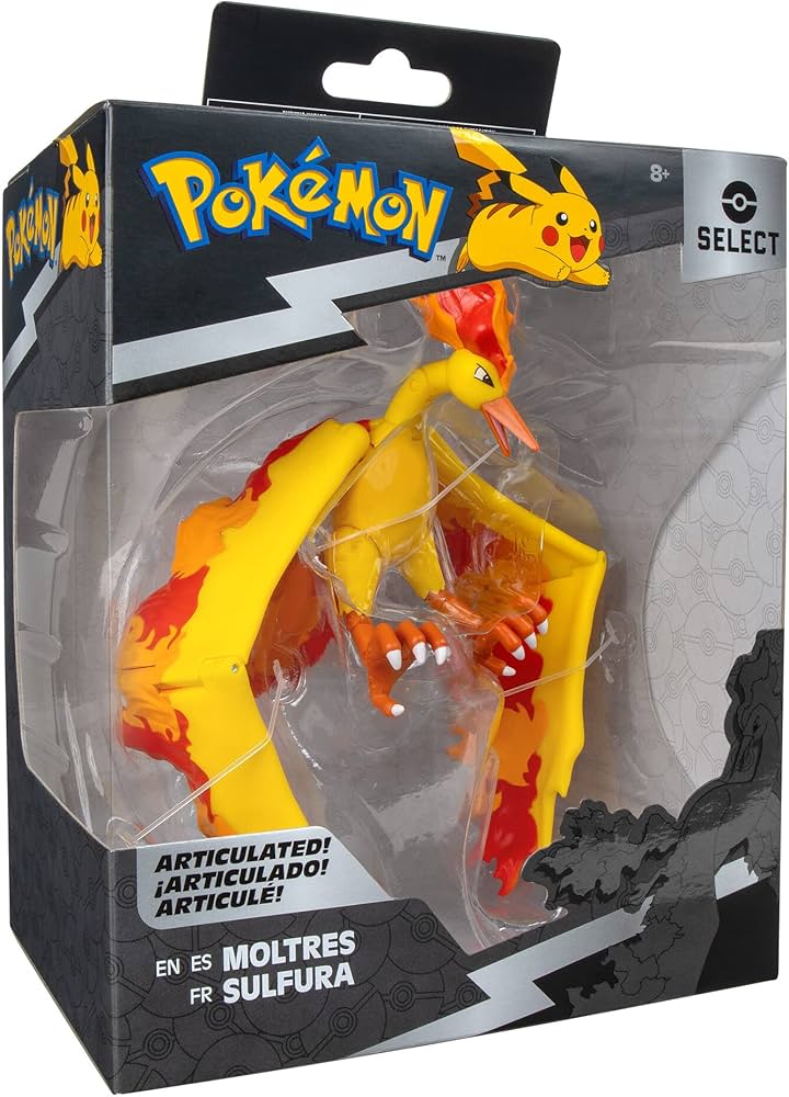 Amazon.com: Pokémon 6