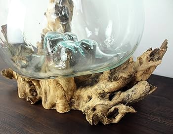 Amazon.co.jp: 流木＆ガラスのオブジェ 特大サイズ 一点もの 置物 天然