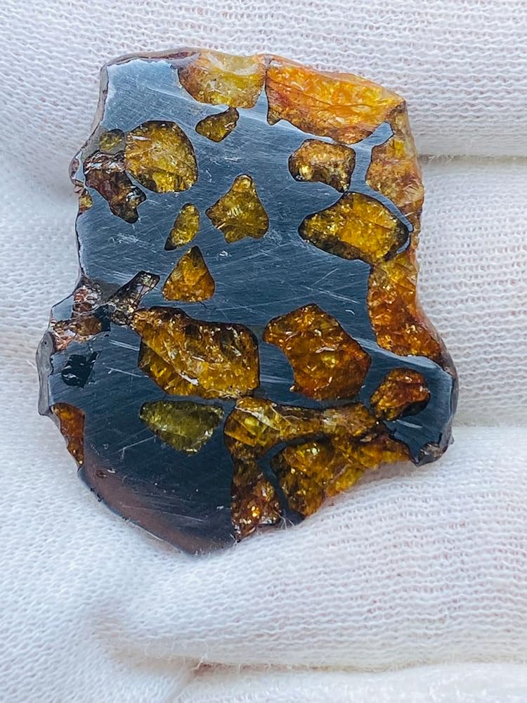 Amazon | 【鑑別書選択可能】Imilac隕石 8.5g イミラック パラサイト