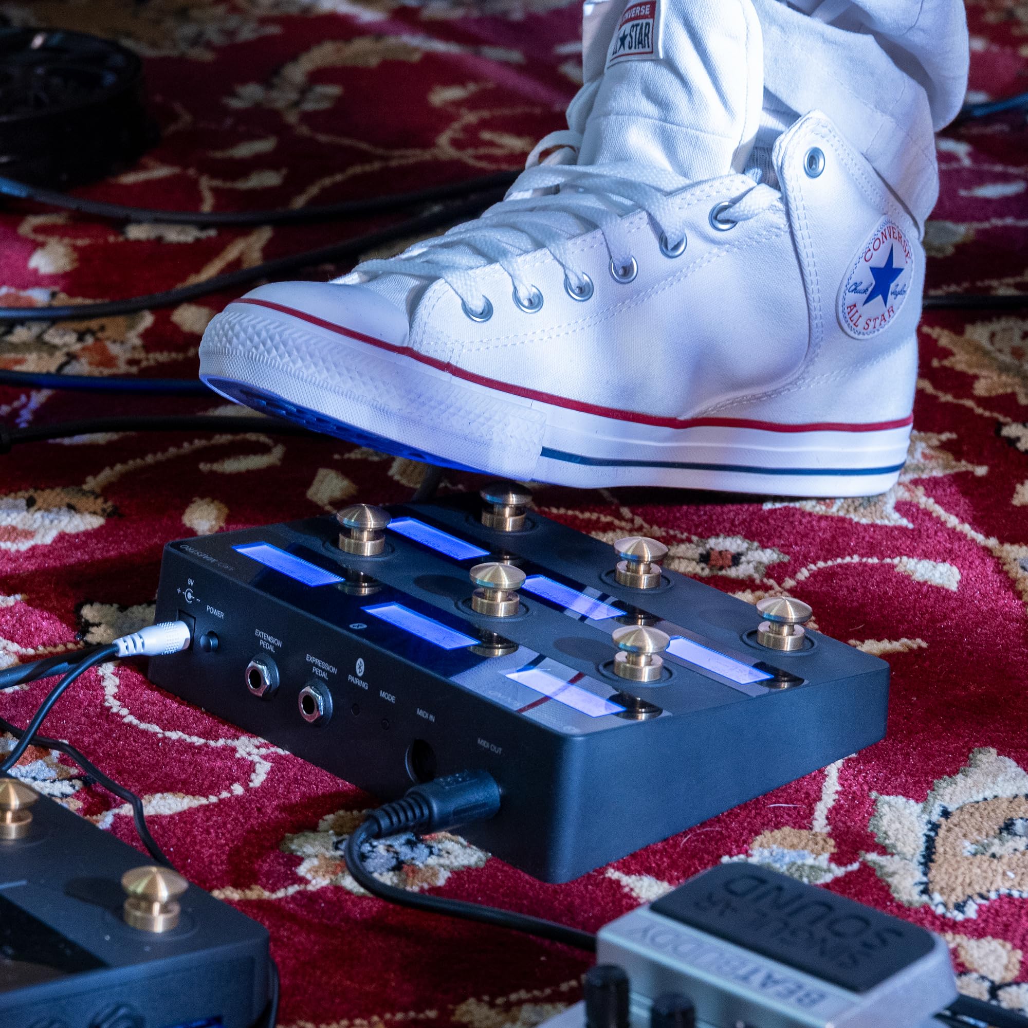 Amazon.com: Singular Sound MIDI Maestro Gold Edition - All-in-One