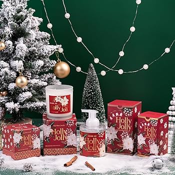 Amazon.com : ROMIIE ZOI Christmas Liquid Hand Soap with Gift Box