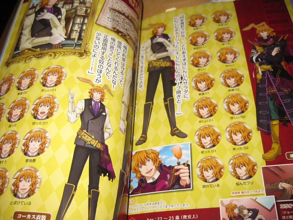 Amazon.co.jp: Wonderful Mirror World Official Visual Fan Book