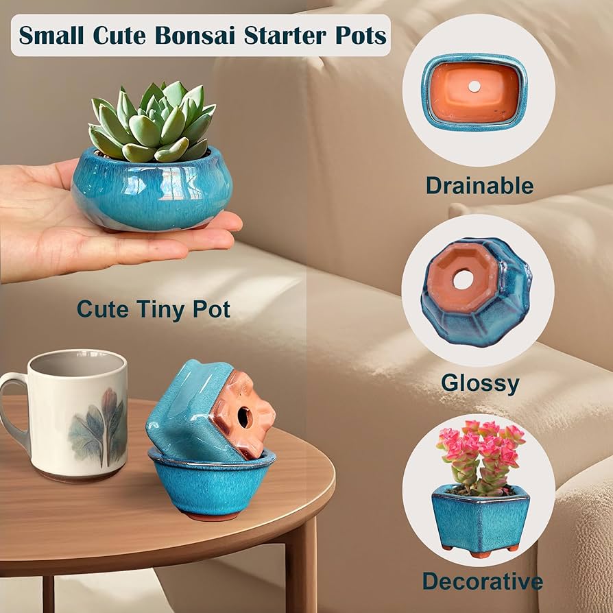 81VRHxFOipL._AC_UF894,