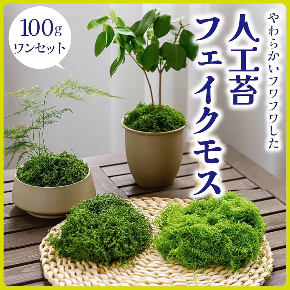Amazon｜ZERONOWA 人工苔 フェイクモス フェイクグリーン 盆栽 鉢植え
