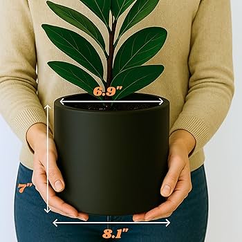 Amazon.com: Fox & Fern 8 Inch Black Plant Pot with Drainage Plug