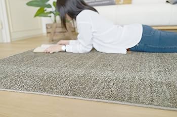 Amazon｜スミノエ(Suminoe) ラグ グレージュ 140×200cm 防炎 防ダニ