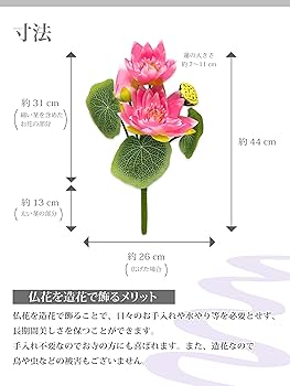 81WR-cZdtuL._AC_UF350,