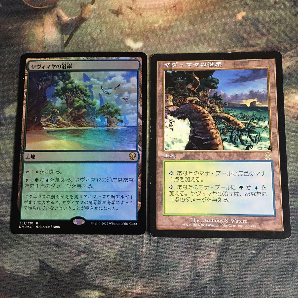Amazon.co.jp: kw1 67 ヤヴィマヤの沿岸 Foil MTG APC アポカリプス