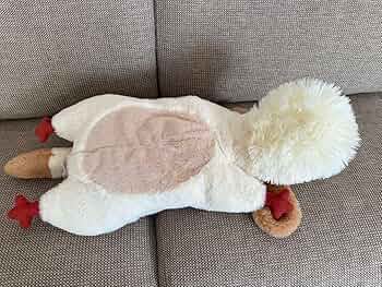 81Wd5LnTClL._AC_UF350,