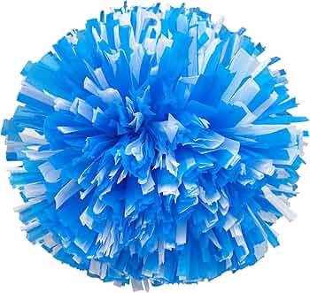 Amazon.com: Danzcue 2PCS 6 Inch Plastic Cheerleading Pom Poms with
