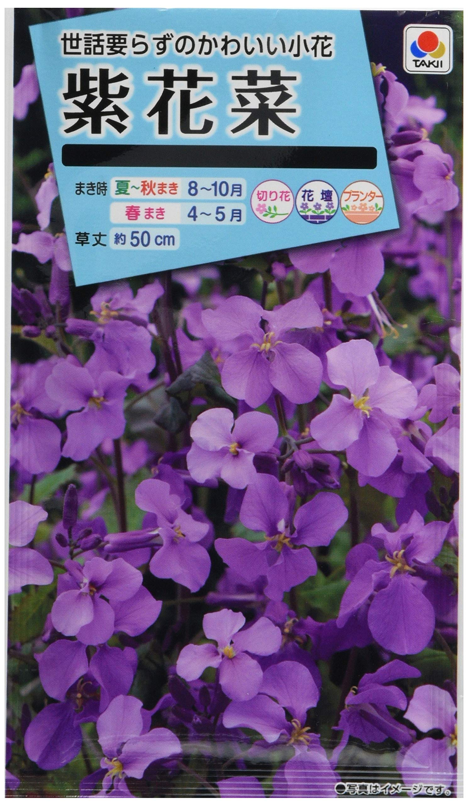 Amazon | タキイ種苗 紫花菜紫花菜 | 花