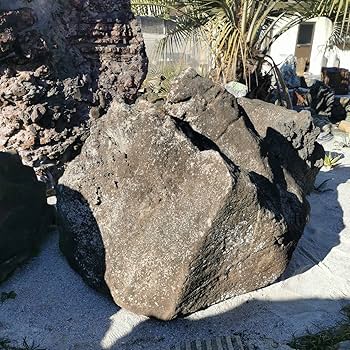Amazon.co.jp: 鳥海石408キロ庭石鑑賞石石盆石水石灯籠庭坪庭盆栽