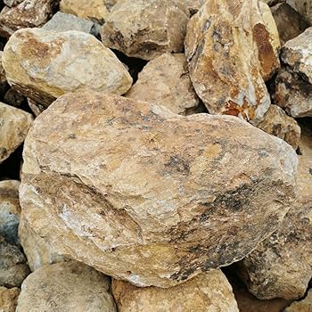 Amazon.co.jp: みかも石300キロ庭石鑑賞石石盆石水石灯籠庭坪庭盆栽庭