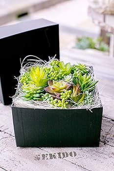 Amazon｜多肉植物 造花 寄せ植え ギフト 多肉フェイクグリーン
