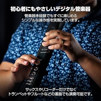 Amazon | Akai Professional EWI 5000 ウインドシンセサイザー 電子