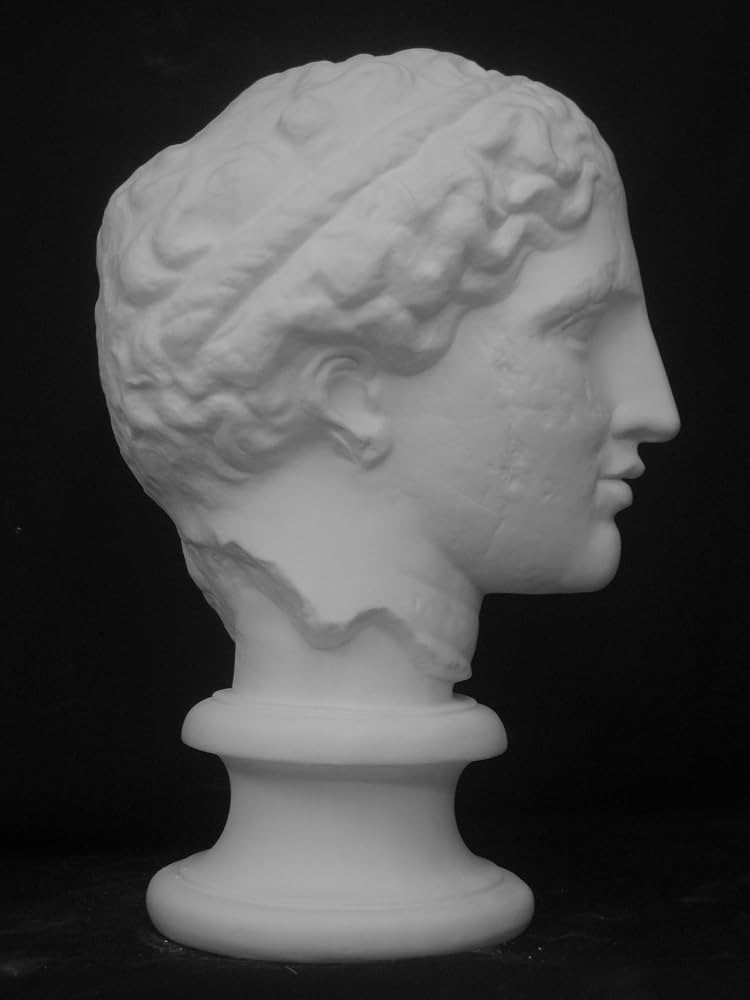 81YHc-uecNL._AC_UF894,